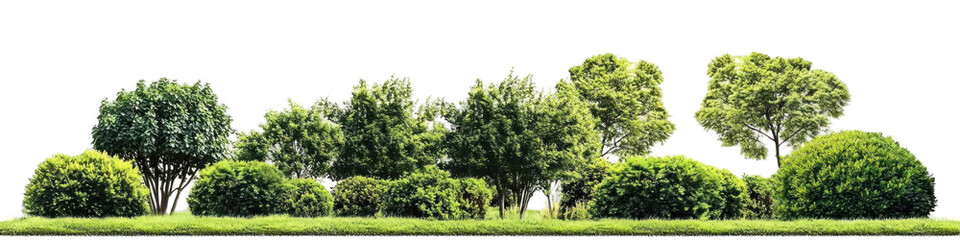 green grass on white