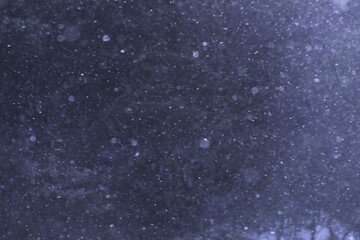 Fototapeta premium 舞い散る雪に差し込む光