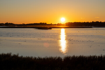 Sonnenuntergang am T&aring;kern - Schweden Vogelschutzgebiet 2