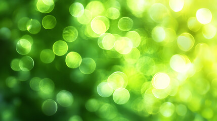Obraz premium Lime Green Abstract Background. Blurred Bokeh Lights with Shiny Glow