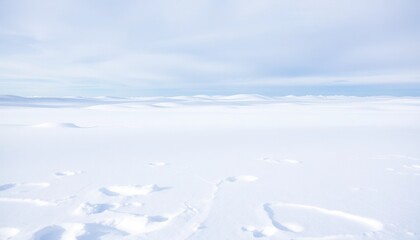 Snowy landscape exploration arctic region nature photography winter wonderland aerial view tranquility in white