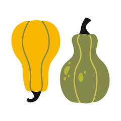 Two gourds, cute fall pumpkins. Modern vector illustration isolated on white background, hand drawn, flat design