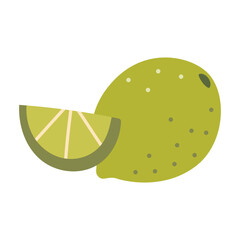 Whole lime and a slice, juicy fresh citrus fruit. Modern vector illustration isolated on white background, hand drawn, flat design