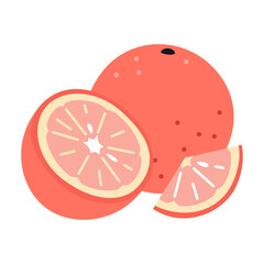 Whole grapefruit, half and slice, juicy fresh citrus fruit. Modern vector illustration isolated on white background, hand drawn, flat design.