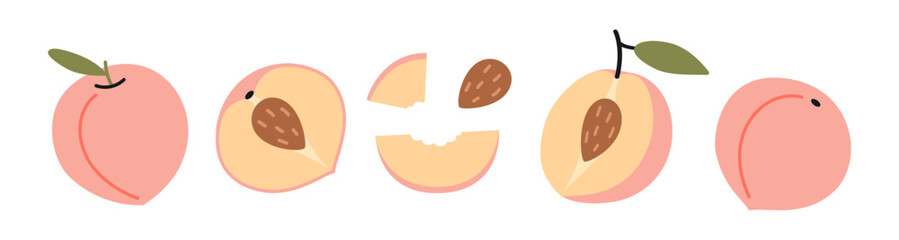 Peach fruit set. Whole, half with pit and a piece. Vector illustration isolated on white background, hand drawn, flat design