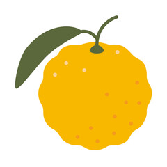 Whole yuzu, juicy fresh citrus fruit. Modern vector illustration isolated on white background, hand drawn, flat design