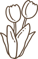 Tulip Flowers Outline Illustration