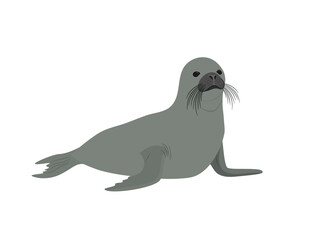 Seal on a white background.