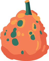 Colorful pumpkin vegetable vector illustration