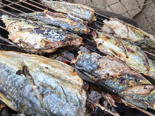 Grilled Mackerel for meal