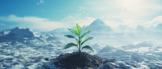 A small green plant emerges from rich soil under a bright sky.