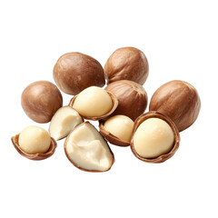 Macadamia nuts