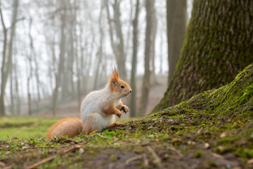 Gomel Park on a beautiful autumn day, alleys, benches, lots of trees, ancient architecture.