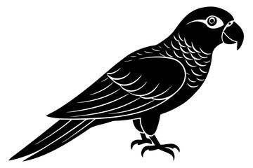 bird on a branch