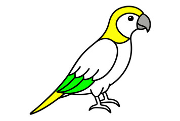 blue and yellow macaw