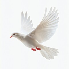 Fototapeta premium A serene image of a flying white dove, ideal for peace-themed projects, weddings, or memorials, evoking purity and tranquility.