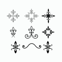 black and white background with ornament. Floral Border, Elegant Monochrome Text Divider with Leaves