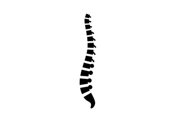 Naklejka premium Spine medical poster