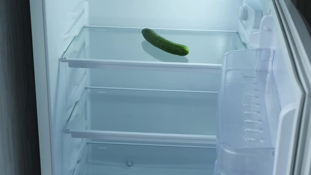 close up of cucumber in empty refrigerator, man opens refrigerator with empty shelves and one cucumber
