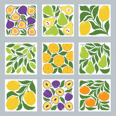 Set of square fruit posters in minimalist style. Modern botanical print with hand drawn pears, lemons, plums, tangerines, olives and leaves. 
