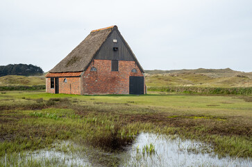 Obraz premium Typischer Schafstall auf der Insel Texel