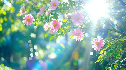 Pink flowers bloom in sunny garden, bright rays shine