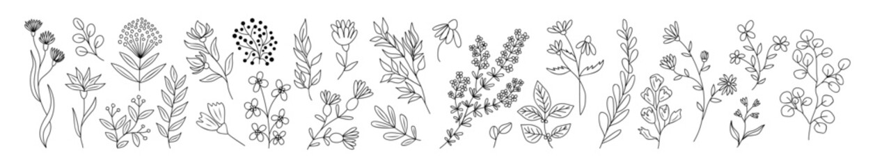 Set of tiny wild flowers and plants line art vector botanical illustrations. Trendy greenery hand drawn black ink sketches collection. Modern design for logo, tattoo, wall art, branding and packaging