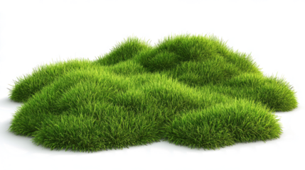 3D rendering of grass 