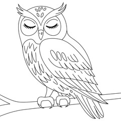 A line art Owl illustration of a coloring Page white background.