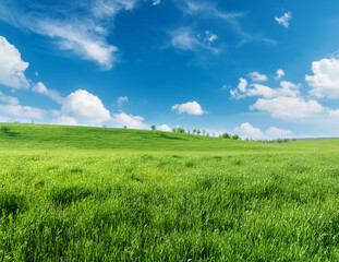 Obraz premium Generated image 風にそよぐ新緑