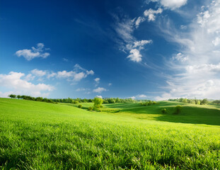 Obraz premium Generated image 風にそよぐ新緑