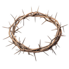 Crown of Thorns: Image on transparent background