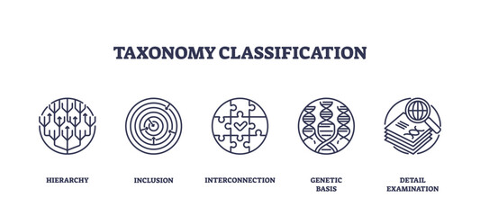 Taxonomy classification icons depict hierarchy, interconnection, and genetic basis, transparent background. Outline icons set.