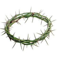 Crown of Thorns: Image & Meaning on transparent background