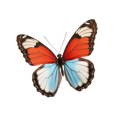 Fototapeta premium Colorful butterfly with vibrant wings on a white isolated background.