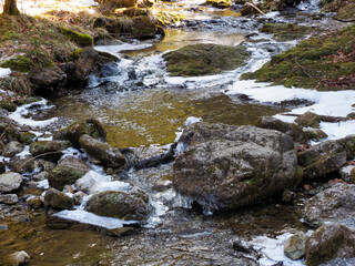 Fototapeta premium Rocky Mountain Creek with Melting Snow and Moss-Covered Stones in Early Spring Wilderness Setting