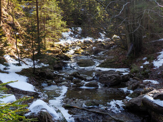 Pristine Mountain Stream Flowing Through Snow-Covered Forest with Rocks and Melting Snow