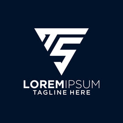 Modern Geometric TS Monogram Logo Design