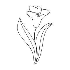 Elegant SingleLine Drawing of a Simple Spring Flower