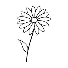 Simple Line Drawing of a Daisy Flower Blossom Stem