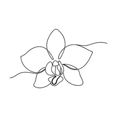 Elegant SingleLine Orchid Flower Drawing, Minimalist Botanical Art