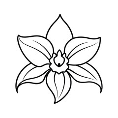 Elegant Black and White Line Art Orchid Flower Drawing