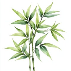 Fototapeta premium Lush Green Bamboo Leaves Forming Natural Abstract Floral Backdrop