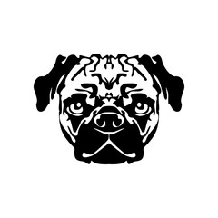 Dog head sketch. Image of a black dog's head on a white background.