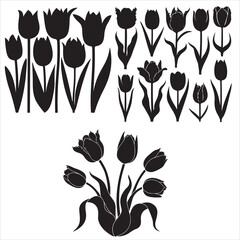 set of tulips flowers vector silhouettes	
