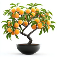 Beautiful Peach Tree in Pot with Bright Orange Fruits and Lush Green Leaves for Home and Garden Decor