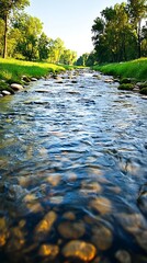 Fototapeta premium Serene Stream Flowing Through Lus Nature Landscape Scene Tranquil Environment Close-Up View Freshwater Concept