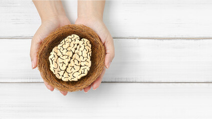 Intellectual Growth and Protection: Hands Holding Wooden Brain Symbol in a Nest