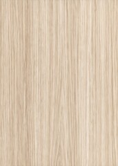 Naklejka premium Oak wood textured design background