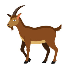 deer vector illustration